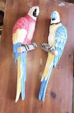 Huge parrot pair for sale  Steelville