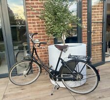 Pashley sovereign ladies for sale  HATFIELD