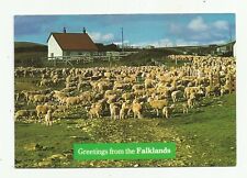 Falklands greetings. 1983. for sale  MINEHEAD