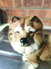 China dog husky for sale  LINCOLN