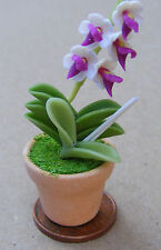 Purple orchid pot for sale  Shipping to Ireland