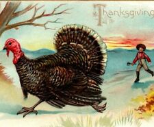Tuck thanksgiving postcar for sale  Salemburg