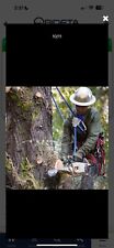 Flipline climbing tree for sale  Goodlettsville