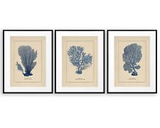 Blue coral prints for sale  TROWBRIDGE