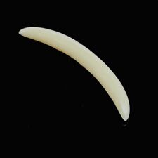 Bone Handicrafted Septum Piercing Curved Tusk Size 12g-12MM, used for sale  Shipping to South Africa
