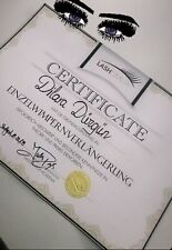 Wimpernstylist zertifikat gebraucht kaufen  Heilbronn