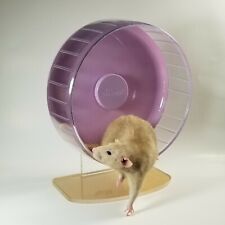 Niteangel hamster silent for sale  Allentown