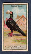 Carrier pigeon 1888 for sale  Pike Road