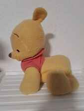 Disney winnie pooh gebraucht kaufen  Farschwlr., Kasel, Osburg