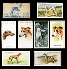 Greyhound dog vintage for sale  UK