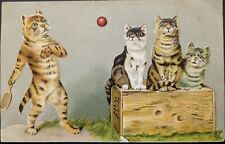 Anthropomorphic cats playing for sale  LIVERPOOL