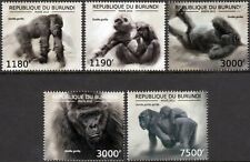 Western gorilla african d'occasion  Expédié en Belgium