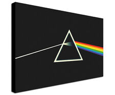 Pink floyd quadro usato  Massa Di Somma