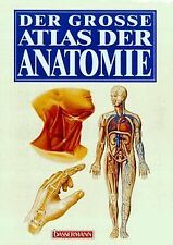 Große atlas anatomie gebraucht kaufen  Berlin