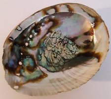 Vintage Abalone Haliotis Rufescens Sea Shell Seashell, used for sale  Shipping to South Africa