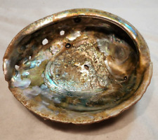 Large abalone shell for sale  Independence
