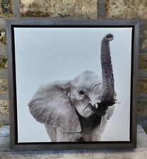 Amy peterson elephant for sale  Chicago