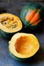  Acorn Squash-40 Seeds - Table King -Non GMO- Organic -Open Pollinated. for sale  Shipping to South Africa