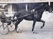 Vintage cavallo corsa usato  Milano