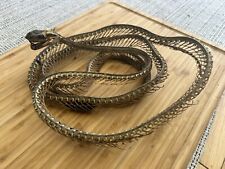 Taxidermy snake skeleton for sale  LEEDS