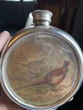 silver pheasant for sale  GATESHEAD