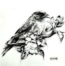 Original Drawing Pen Animals Warbler Bird Sketch Art 8.17x8.17in By Artist , used for sale  Shipping to Canada