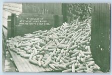 Publicidad de maíz abolladura blanca Arlington MN postal cargada de Northrup King & Co segunda mano  Embacar hacia Mexico