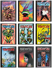 Teenage Mutant Ninja Turtles #18-#29 (Mirage, TMNT, 1988, 1989, 1990) segunda mano  Embacar hacia Argentina