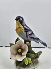 Parula warbler bird for sale  Laurel