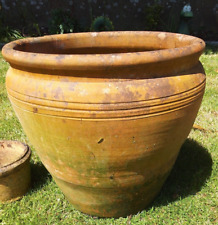 Large clay terracotta for sale  SALISBURY