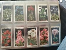 Flower Culture in Pots (1925) Wills Cigarette Cards - Buy 2 & Save for sale  Shipping to South Africa