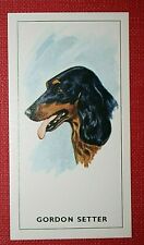 Gordon setter head for sale  Shipping to Ireland