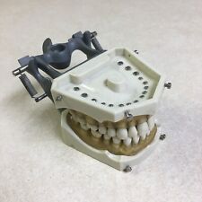 Columbia dental typodont for sale  Jacksonville