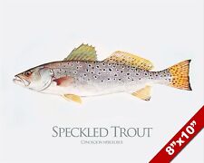 Speckled trout fish for sale  South Jordan