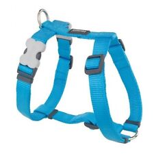 Red dingo harness for sale  BLACKPOOL