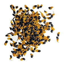 50 x Acacia Mangium Seeds Seeds (+ BONUS) | "Hickory Wattle" from Aus. for sale  Shipping to South Africa