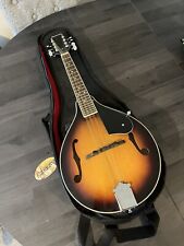 Ashbury mandolin am10 for sale  WALSALL