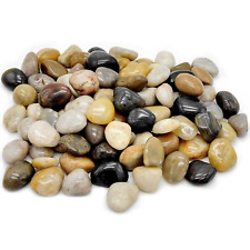 Polished pebbles plants for sale  Denver