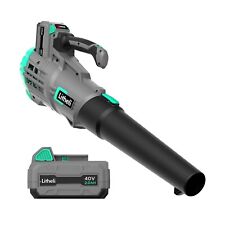 Litheli u1br41055 cordless for sale  Portsmouth