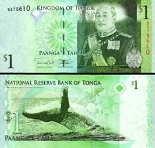 Tonga anga 2014 usato  Anzio