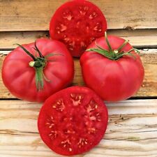 Pink ponderosa tomato for sale  Wichita