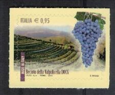 vini valpolicella recioto usato  Italia