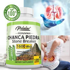 Chanca Piedra Capsules 1600mg - Phyllanthus Niruri, Kidney Stone Breaker for sale  Shipping to South Africa