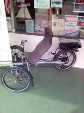 Electric trike adult for sale  Crystal River