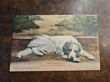 Cartolina cane dei usato  Marano Sul Panaro