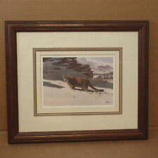 Mountain lion lithograph for sale  Linthicum Heights