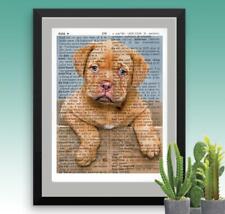 French mastiff puppy for sale  Cleveland