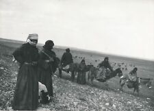 Syrie 1940 bédouines d'occasion  Ballon