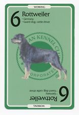 Rottweiler american kennel for sale  COLEFORD