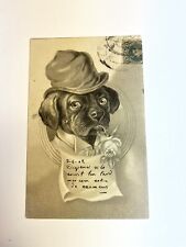 1902 Anthropomorphic Pug Dressed as Old Man Postcard -Victorian Dog Edwardian for sale  Shipping to South Africa